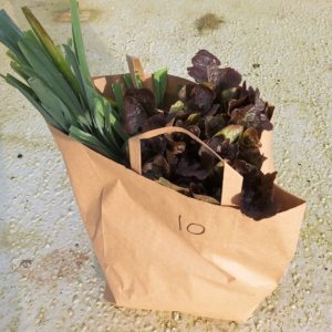 Les Paniers de Légumes BIO de Saison