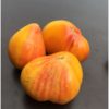 Plants de  tomates – Image 3